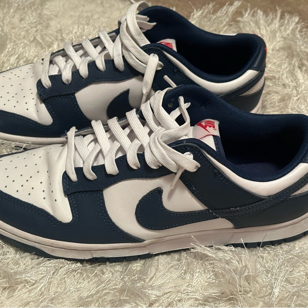 Nike Navy and White Men's Sneakers